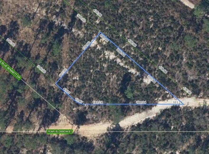 0.37 Acres of Residential Land for Sale in Sebring, Florida