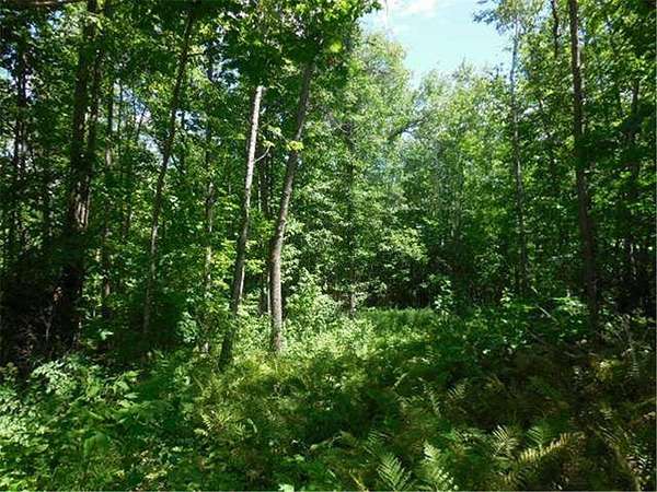 2.57 Acres of Land for Sale in Fine Lakes Township, Minnesota