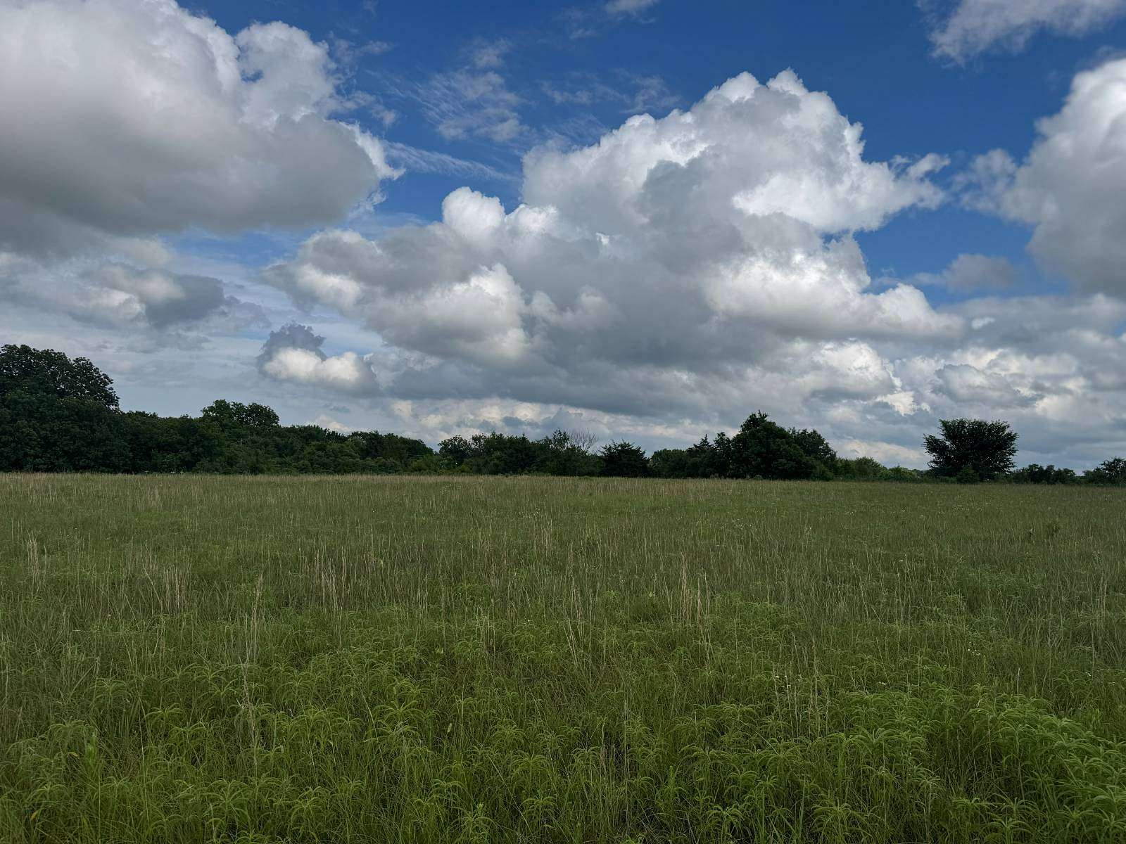 20 Acres of Agricultural Land for Sale in Stratford, Oklahoma