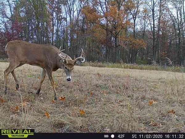 38 Acres of Land with Home for Sale in Jerome, Michigan