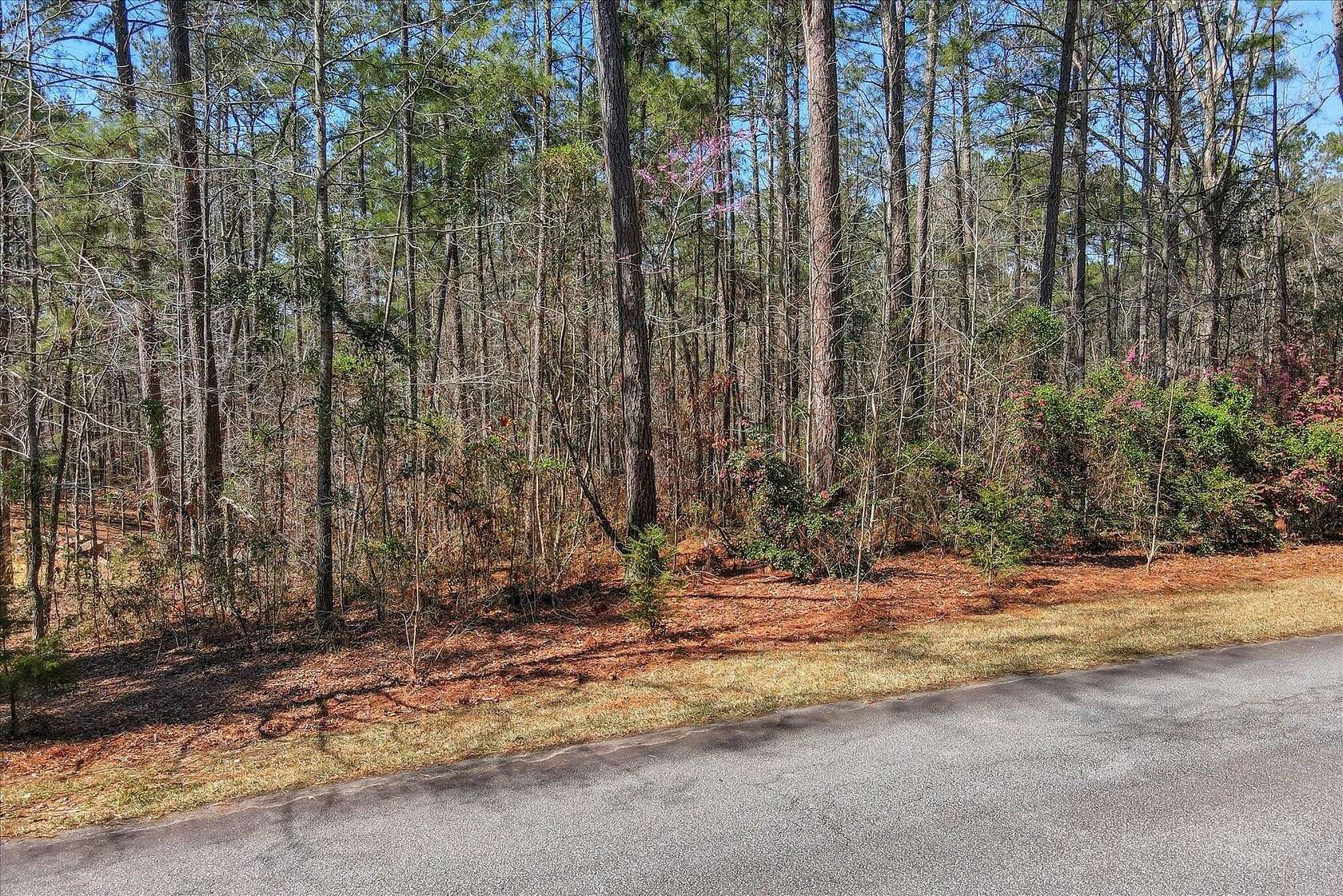 0.67 Acres of Land for Sale in McCormick, South Carolina