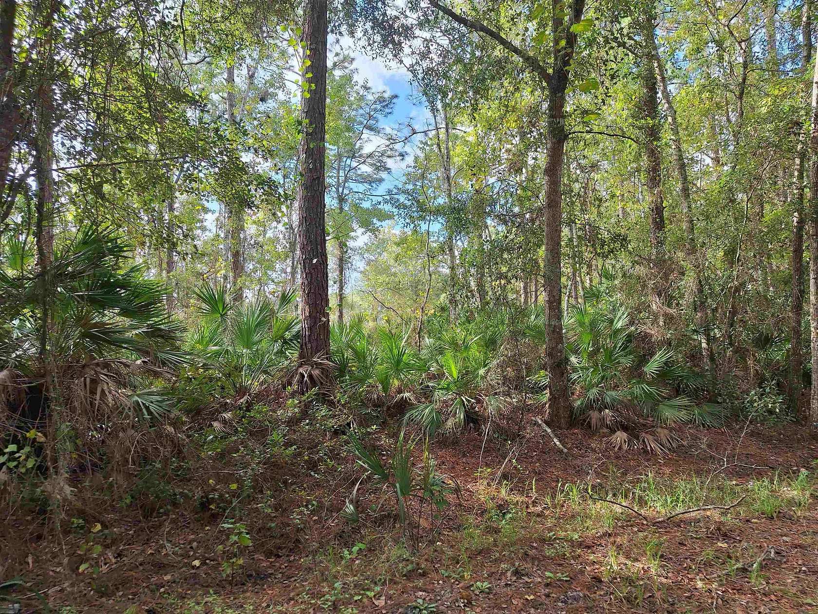 0.78 Acres of Residential Land for Sale in Satsuma, Florida