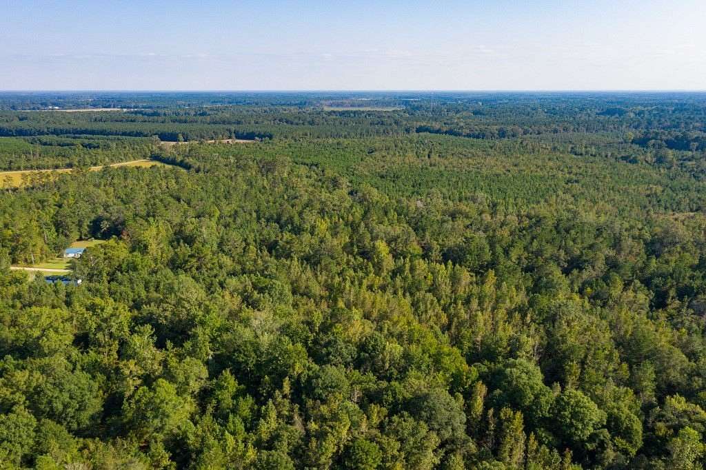 19.5 Acres of Recreational Land for Sale in Vance, South Carolina