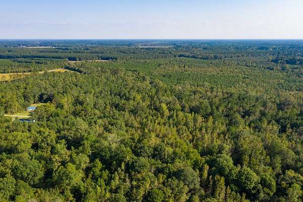 19.5 Acres of Recreational Land for Sale in Vance, South Carolina
