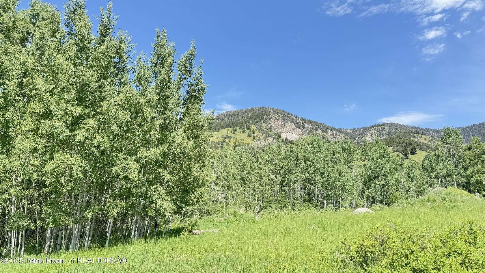 0.9 Acres of Residential Land for Sale in Star Valley Ranch, Wyoming