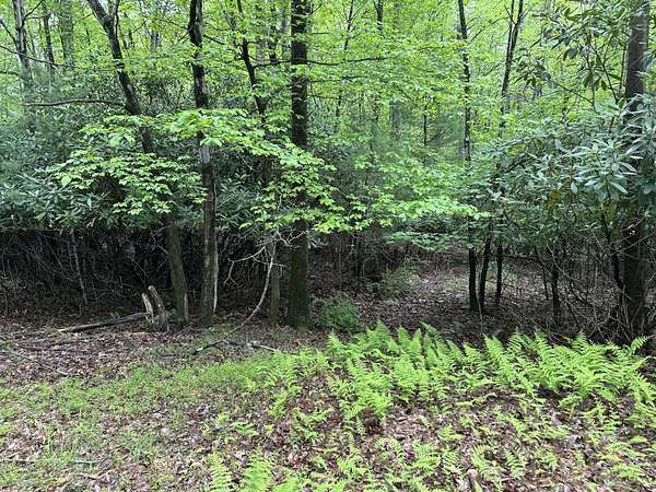 0.67 Acres of Land for Sale in Kunkletown, Pennsylvania