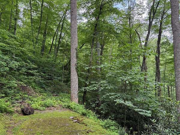 0.75 Acres of Residential Land for Sale in Cullowhee, North Carolina