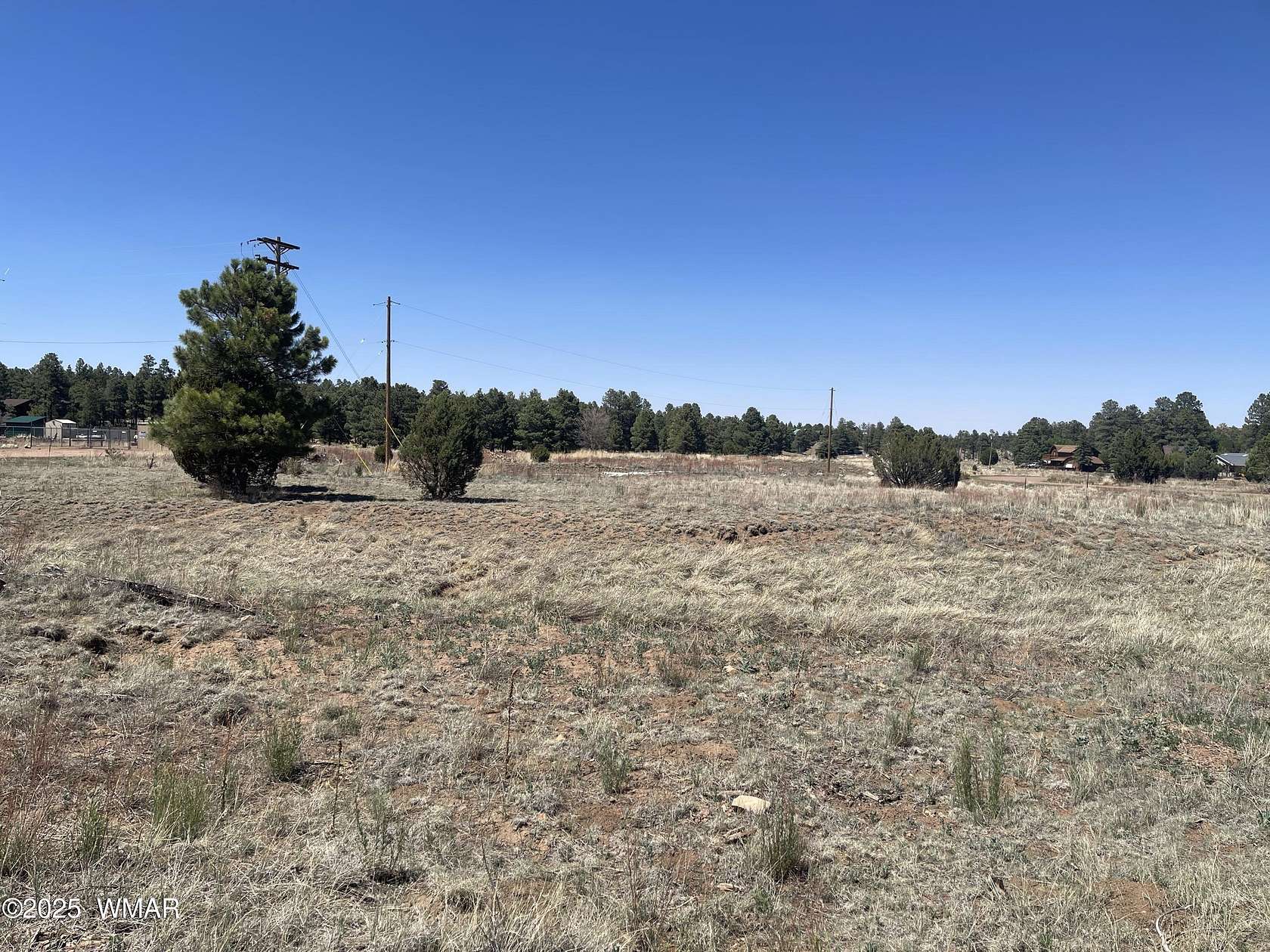 0.88 Acres of Residential Land for Sale in Overgaard, Arizona