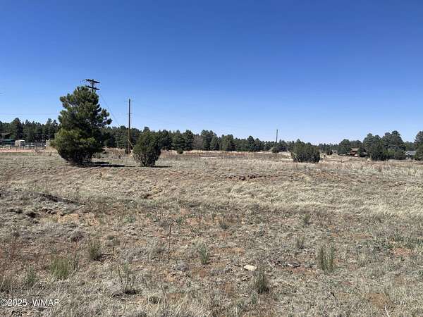 0.88 Acres of Residential Land for Sale in Overgaard, Arizona