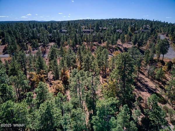 0.51 Acres of Residential Land for Sale in Lakeside, Arizona