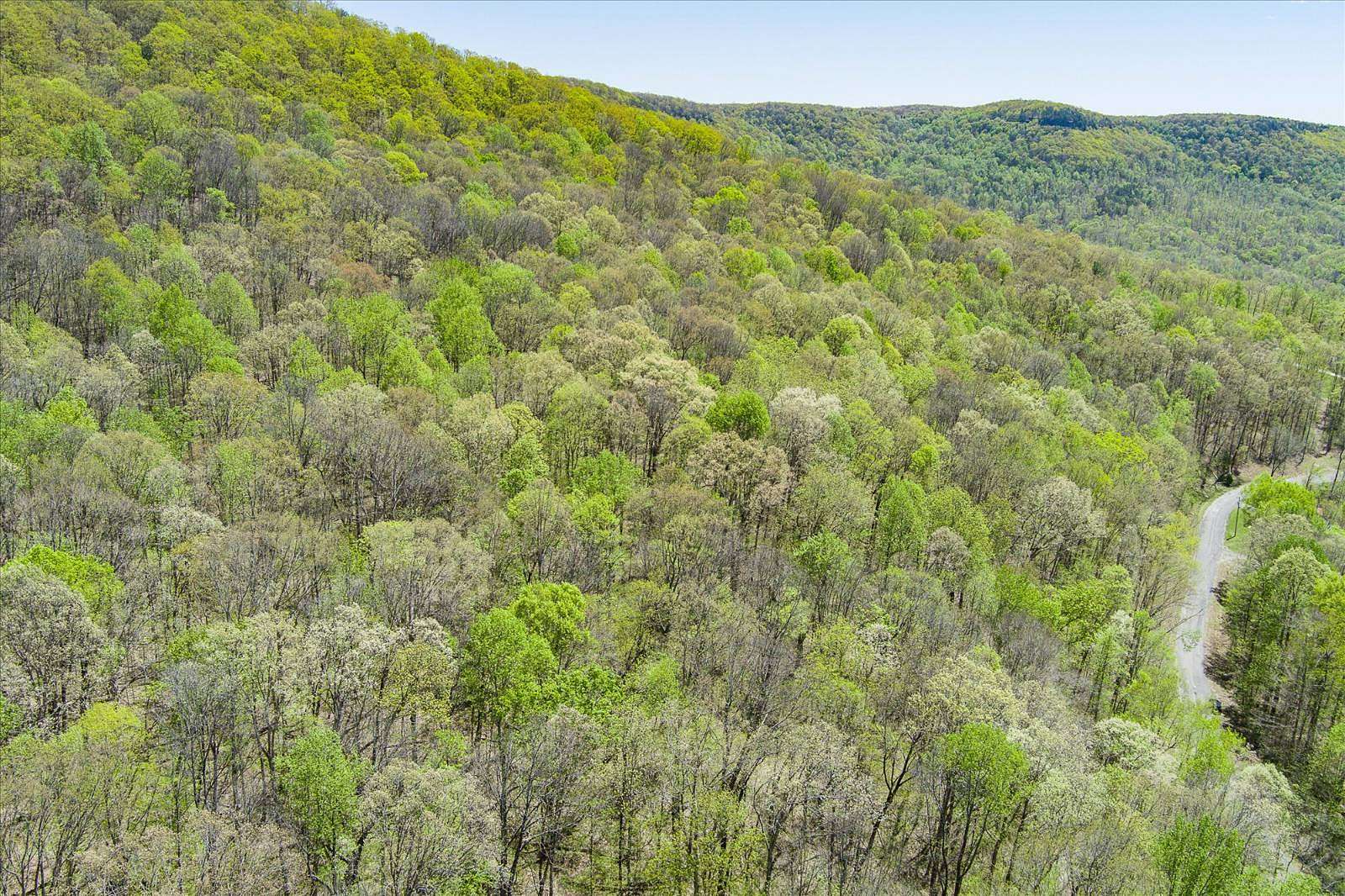 13.1 Acres of Land for Sale in Jamestown, Tennessee