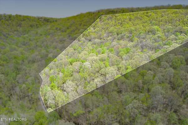 13.1 Acres of Land for Sale in Jamestown, Tennessee