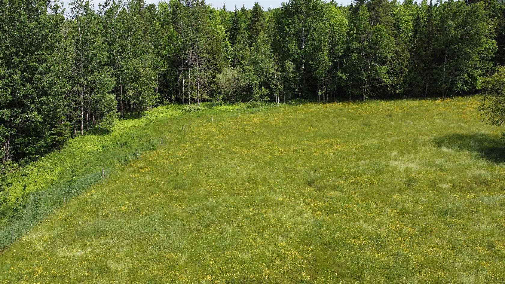 37.4 Acres of Recreational Land for Sale in Holland, Vermont