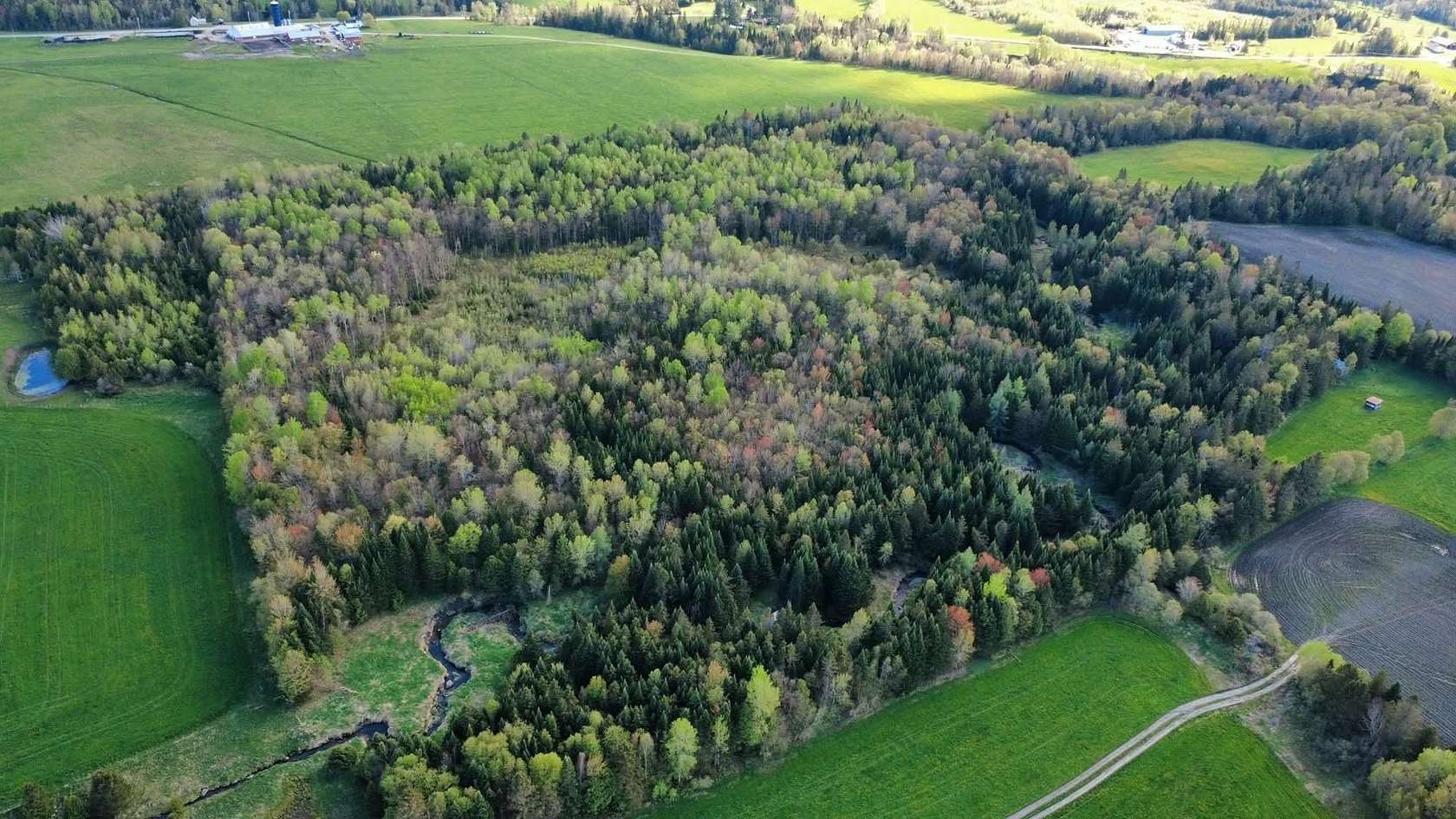 48 Acres of Recreational Land & Farm for Sale in Holland, Vermont