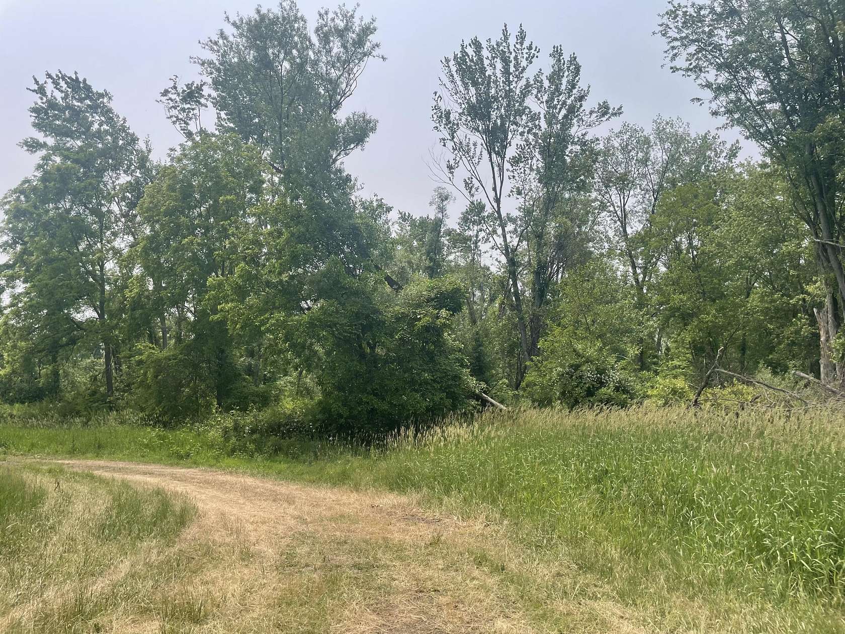 98 Acres of Recreational Land for Sale in Sherwood, Michigan