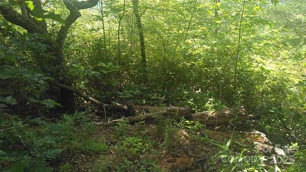 0.68 Acres of Residential Land for Sale in Marion, North Carolina