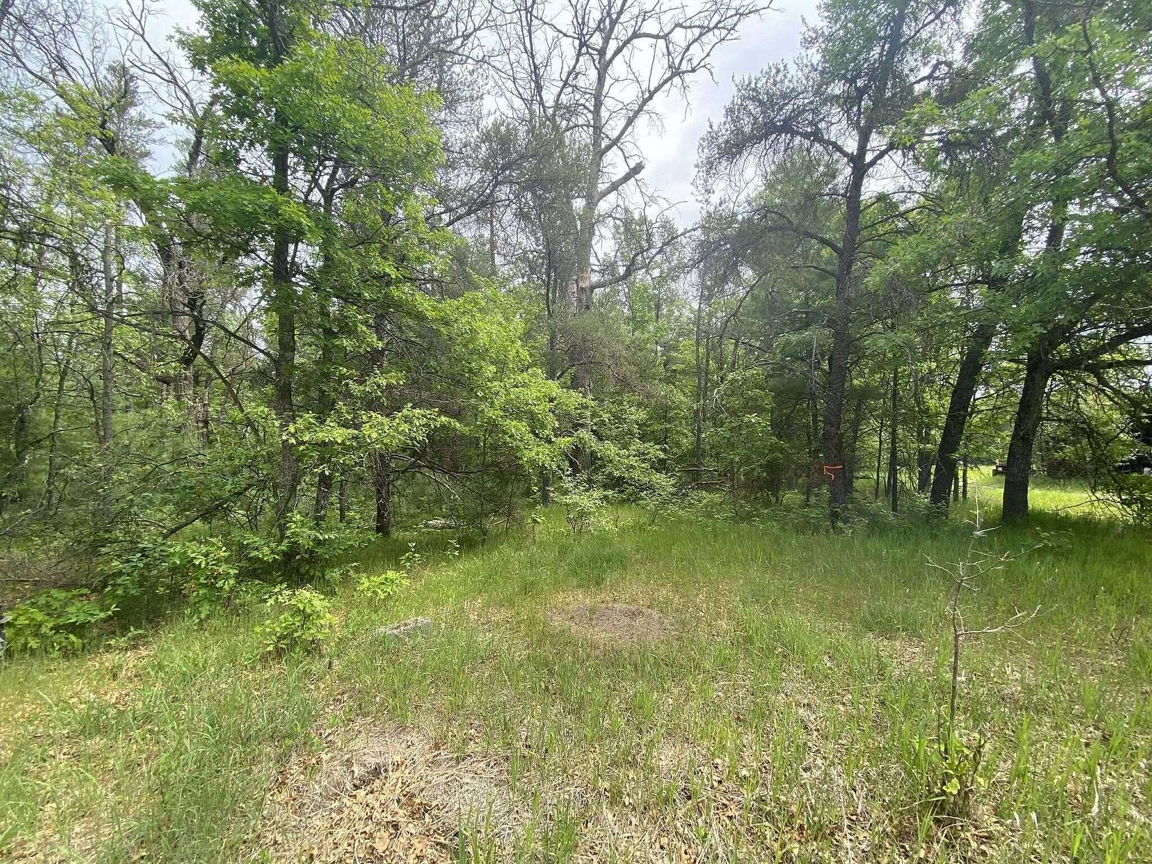 3 Acres of Residential Land for Sale in Mio, Michigan
