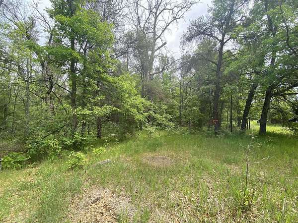 3 Acres of Residential Land for Sale in Mio, Michigan