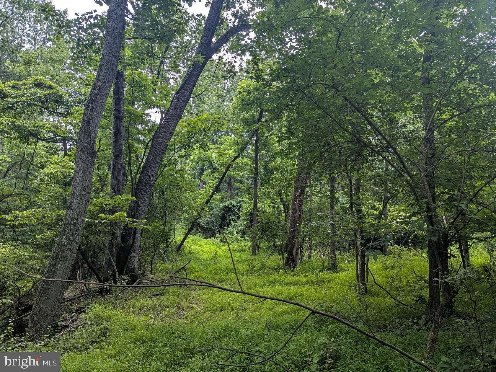 6.1 Acres of Residential Land for Sale in Harpers Ferry, West Virginia