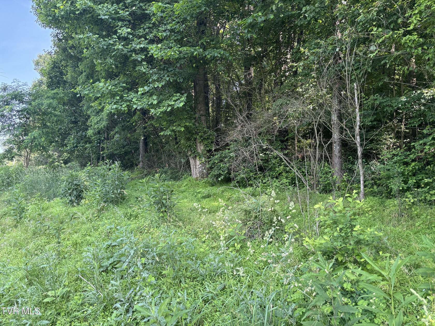 1 Acre of Residential Land for Sale in Abingdon, Virginia