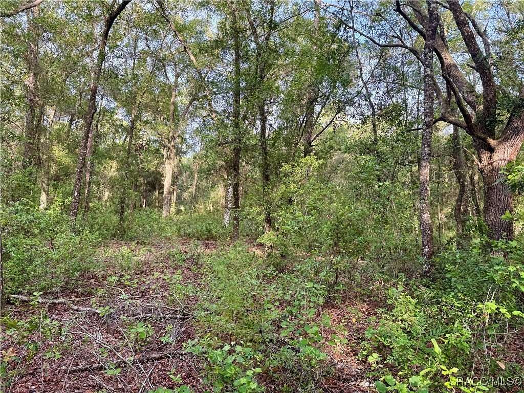 0.77 Acres of Residential Land for Sale in Inverness, Florida