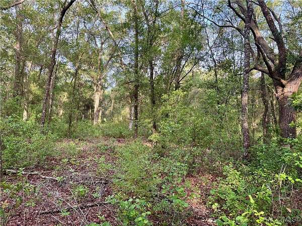 0.77 Acres of Residential Land for Sale in Inverness, Florida