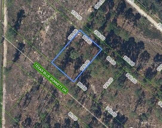 0.24 Acres of Residential Land for Sale in Sebring, Florida