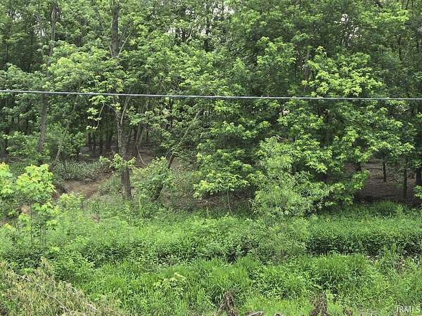 24.8 Acres of Land for Sale in Chandler, Indiana