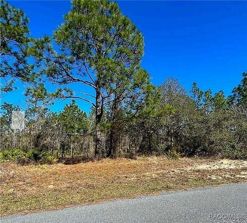 0.28 Acres of Land for Sale in Homosassa, Florida