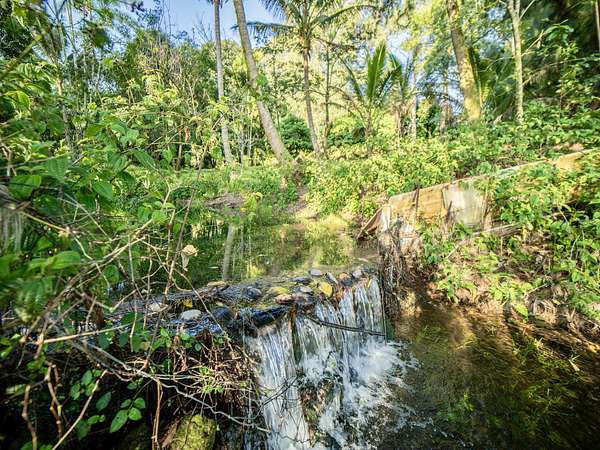 3.63 Acres of Residential Land for Sale in Hakalau, Hawaii