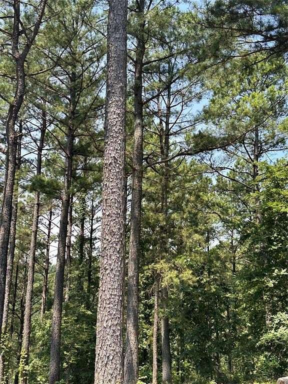 1.18 Acres of Residential Land for Sale in Broken Bow, Oklahoma