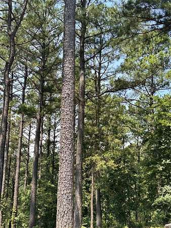 1.18 Acres of Residential Land for Sale in Broken Bow, Oklahoma