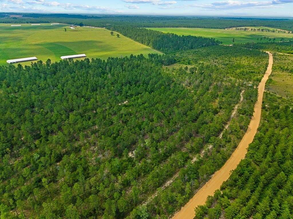 12 Acres of Recreational Land & Farm for Sale in Mauk, Georgia
