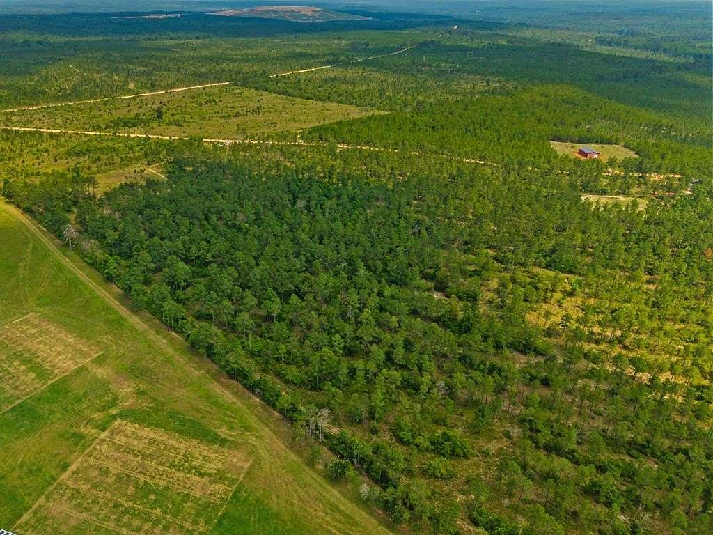 12 Acres of Agricultural Land for Sale in Mauk, Georgia