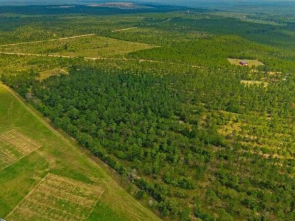 12 Acres of Agricultural Land for Sale in Mauk, Georgia