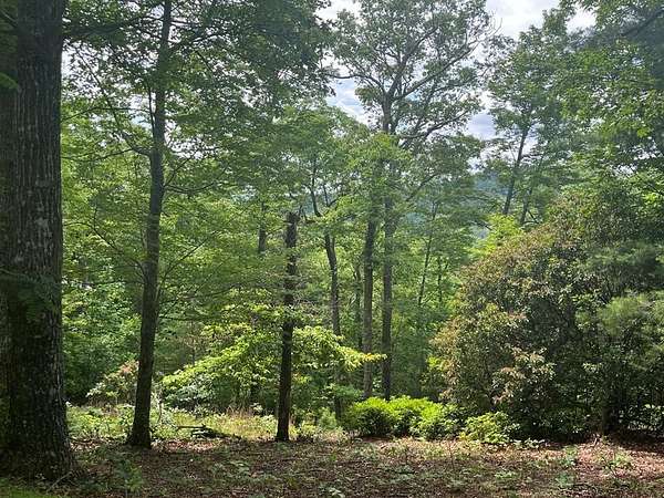 1.16 Acres of Residential Land for Sale in Murphy, North Carolina