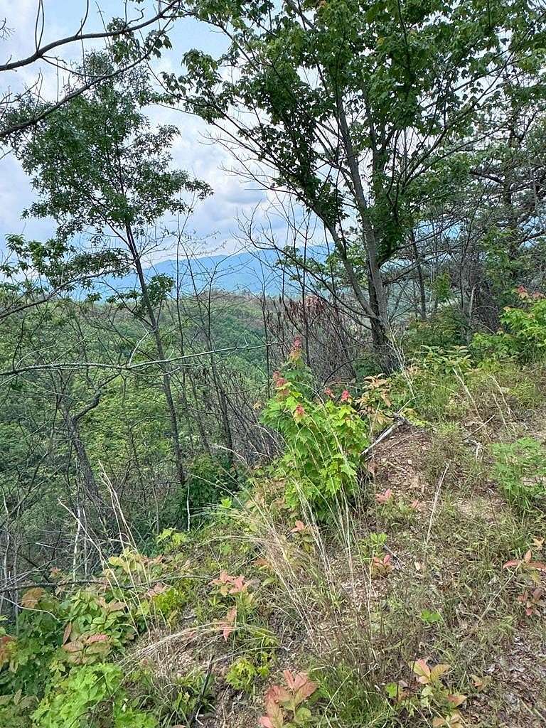 88.4 Acres of Recreational Land for Sale in Andrews, North Carolina