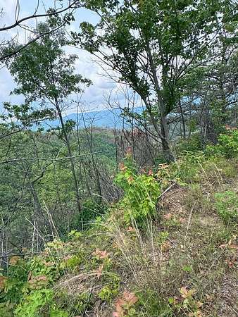 Land for Sale in Andrews, North Carolina