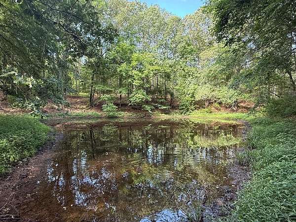 75 Acres of Recreational Land for Sale in Sardis, Mississippi