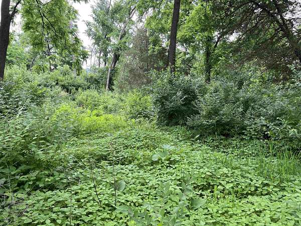 8.2 Acres of Land for Sale in Lone Rock, Wisconsin