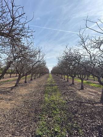 19.5 Acres of Land for Sale in Madera, California