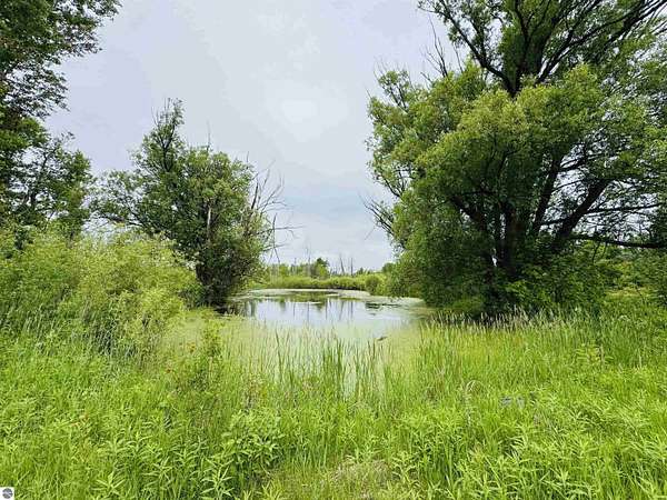 29.8 Acres of Recreational Land for Sale in Manton, Michigan