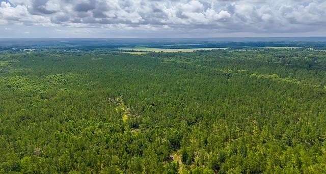294 Acres of Land for Sale in Bainbridge, Georgia