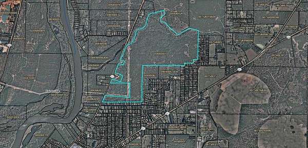 294 Acres of Land for Sale in Bainbridge, Georgia