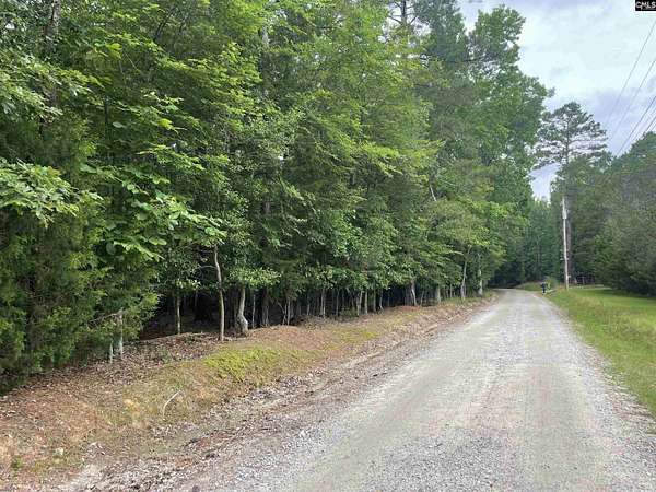 31.9 Acres of Land for Sale in Irmo, South Carolina