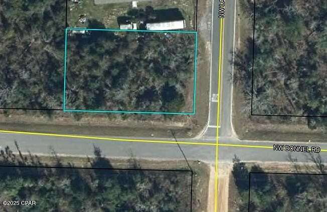 0.26 Acres of Residential Land for Sale in Altha, Florida