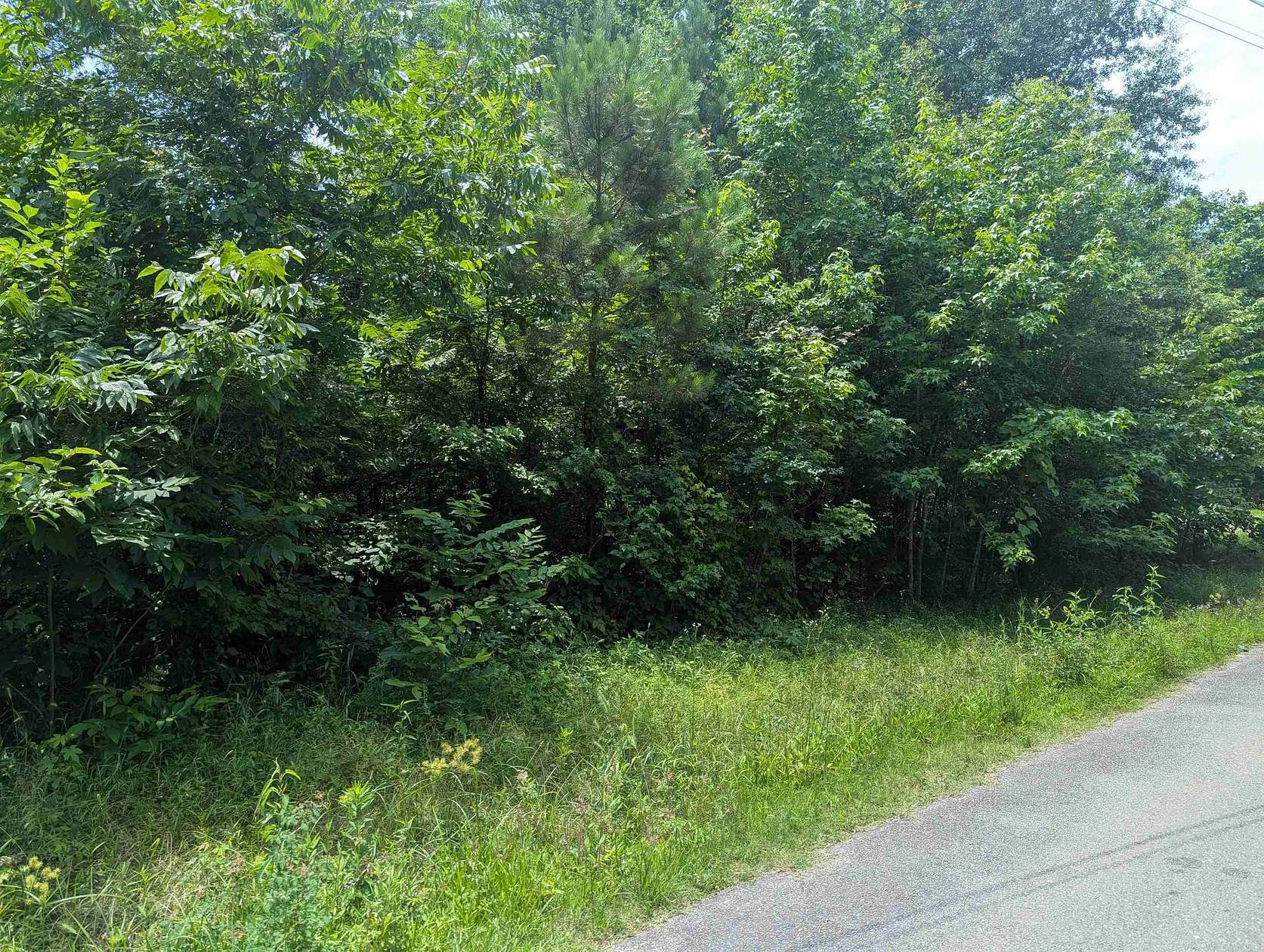 0.21 Acres of Residential Land for Sale in Pine Bluff, Arkansas