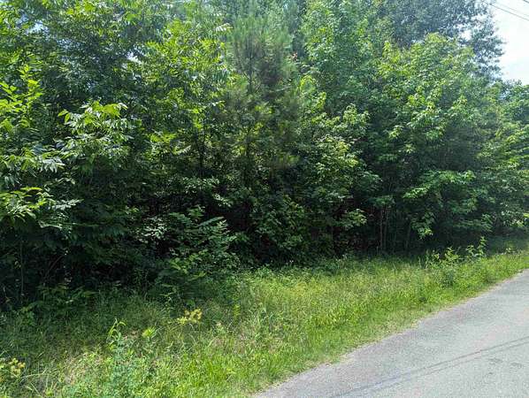 0.21 Acres of Residential Land for Sale in Pine Bluff, Arkansas
