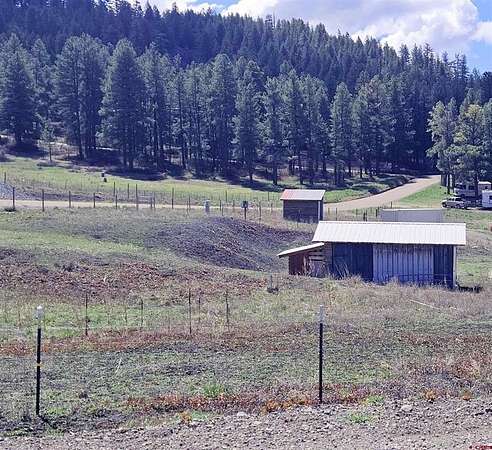 1 Acre of Land for Sale in Pagosa Springs, Colorado
