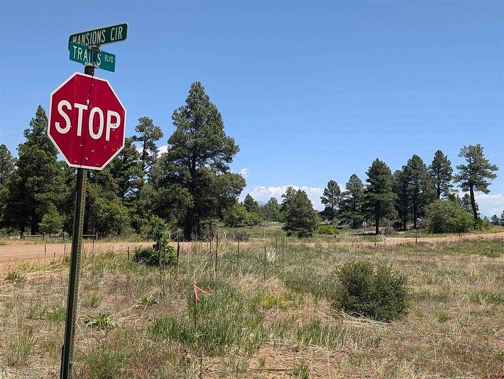 0.23 Acres of Residential Land for Sale in Pagosa Springs, Colorado